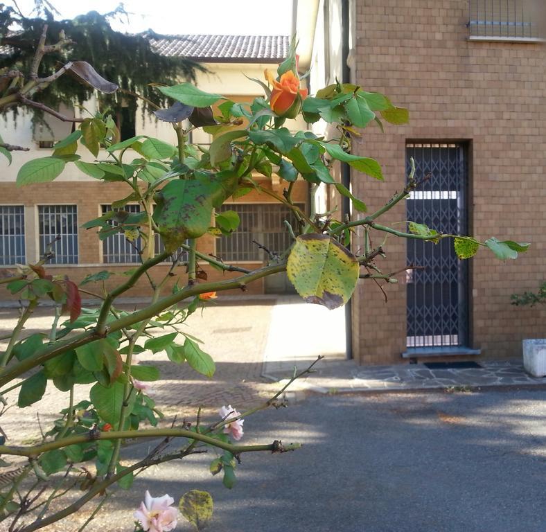 B&B Gloria Gallarate Exteriör bild