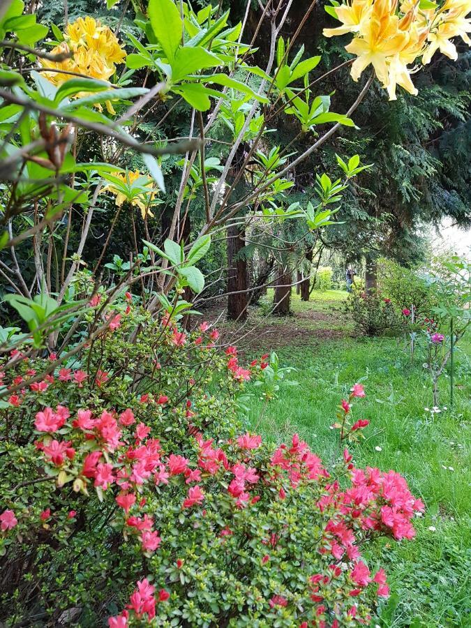 B&B Gloria Gallarate Exteriör bild